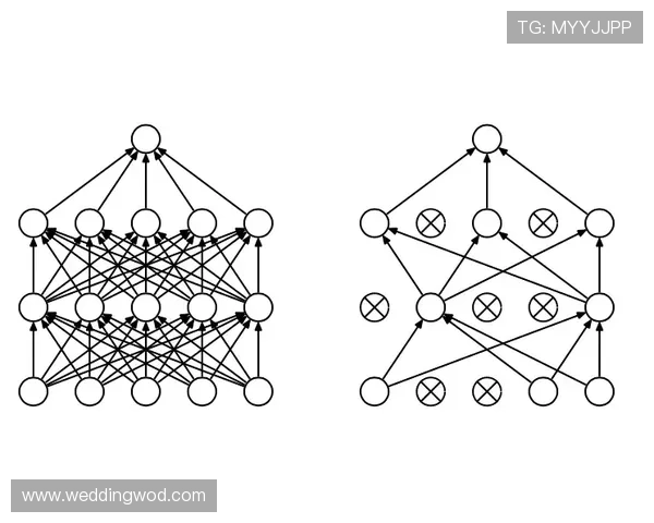 西布朗冲超面临阵容深度与稳定性双重障碍