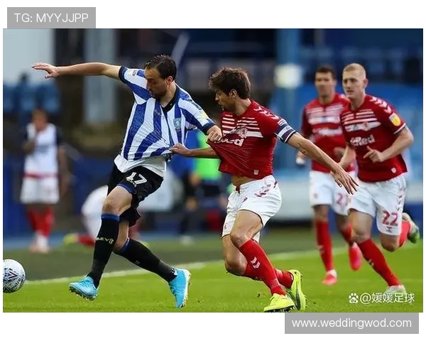 加亚战术适配性持续提升，近期表现稳健