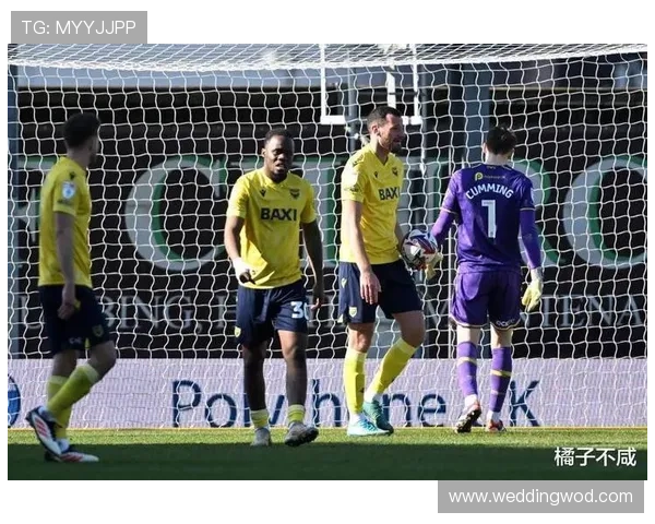 诺维奇回归希望