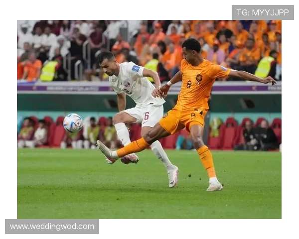 加克波进攻创造力 加克波进攻创造力