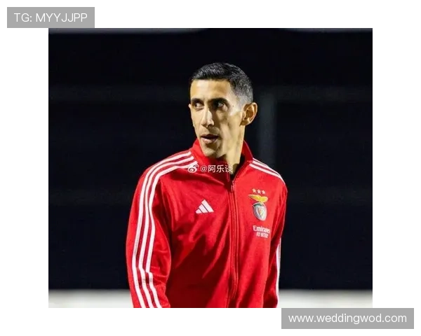 安赫尔·迪马利亚欧冠淘汰赛关键助攻解析 安赫尔·迪马利亚欧冠淘汰赛关键助攻解析