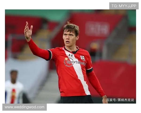 范戴克南安普顿时期崛起与豪门争夺解析 范戴克南安普顿时期崛起与豪门争夺解析