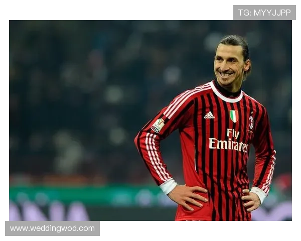 伊布家里那车库能改成俱乐部了，普通人想都不敢想啊