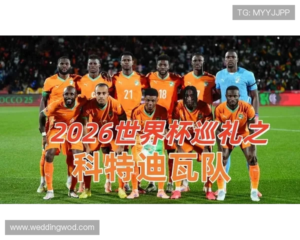 科特迪瓦2026世界杯阵容预测 非洲象能否再现黄金一代辉煌